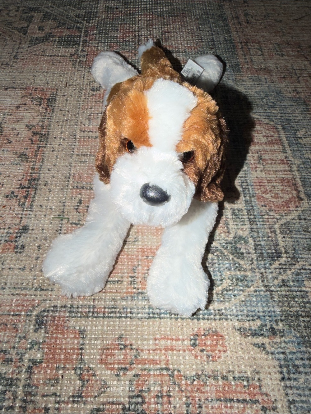 Douglas The Biltmore Estate Cedric 12" St Bernard Dog 2019 Plush 648C / 3278 Pup
